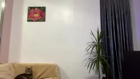 Viktoria online show from January 28, 12:32 pm