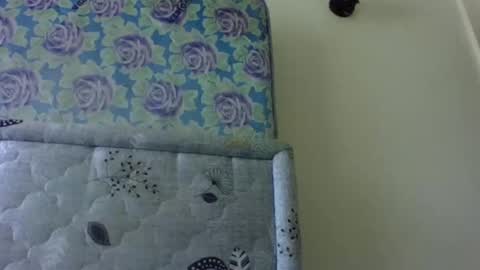 queen_tess1 online show from March 1, 10:24 am