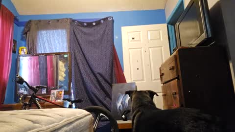 Snapshot of randcandy77 chatting on September 12, 10:50 pm Randcandy77 online show from September 12, 10:50 pm