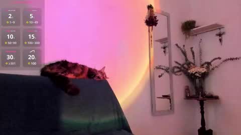 red_morgan online show from March 6, 9:09 pm