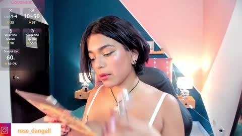 Rose online show from January 21, 10:30 pm