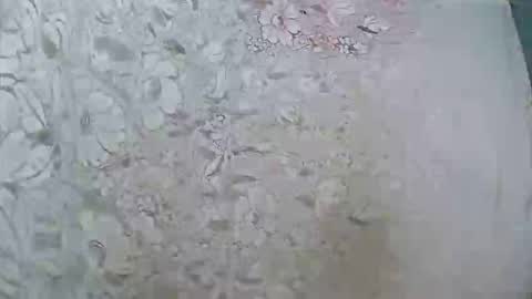 rosia online show from October 26, 8:21 am