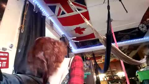 ryliemackenzie93 online show from April 21, 8:27 pm