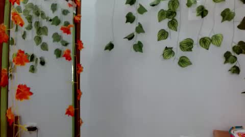 SABRI online show from February 3, 12:43 pm