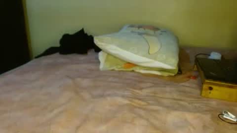 manth online show from November 4, 5:40 pm