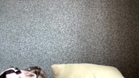 sammychinweze online show from April 10, 8:53 am