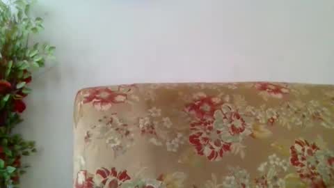 sandra online show from February 13, 8:49 am