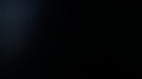  1 online show from January 9, 2:29 pm