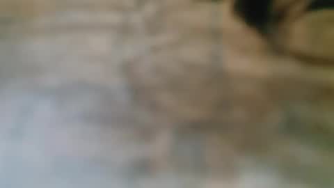 Snapshot of savvvmmm chatting on October 21, 2:37 am savvvmmm online show from October 21, 2:37 am
