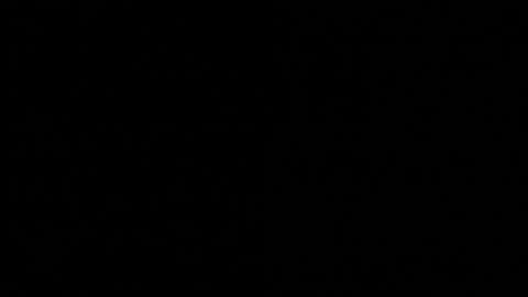 kitty online show from October 6, 2:17 am