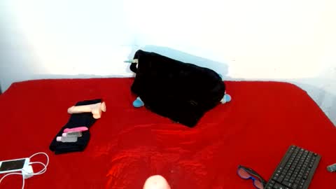 Scarletfox Fox online show from February 23, 3:29 am