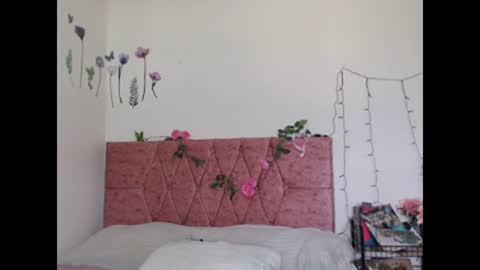 Snapshot of serenity_crystal chatting on December 29, 8:48 pm serenity_crystal online show from December 29, 8:48 pm