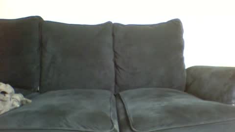 sexxie_slim online show from July 6, 2:22 pm