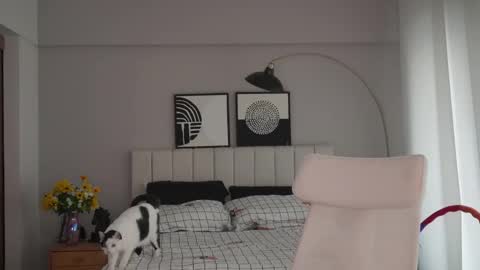 sharon baker online show from March 4, 5:56 pm