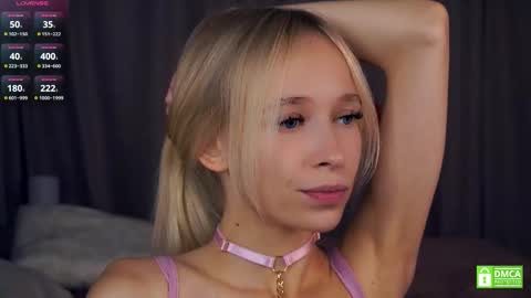 Shelley night Tate day online show from September 12, 4:03 pm