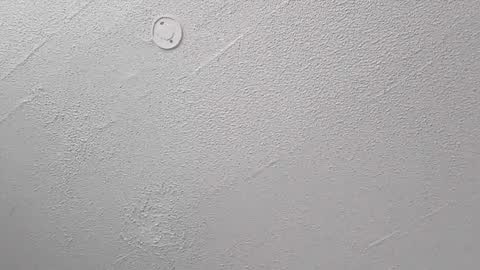 Bush with a class 3 rating online show from February 24, 9:13 pm