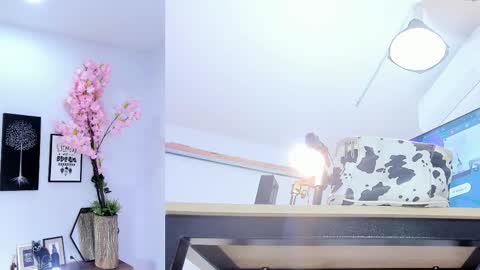 Siouxsie online show from December 16, 11:05 am