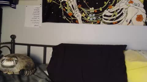 sk8t3rgurl online show from November 12, 5:05 am