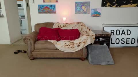 Big Dawg online show from April 17, 2:02 am