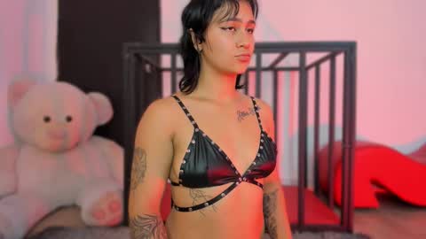  daya  online show from December 17, 3:44 am