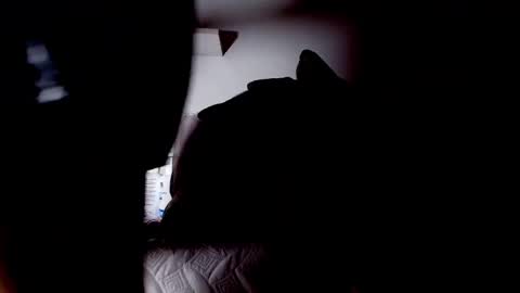 Sofia online show from February 16, 3:05 am