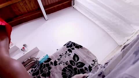 Sofia online show from February 4, 3:00 am