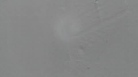 sophia_ebony___ online show from February 8, 1:15 pm