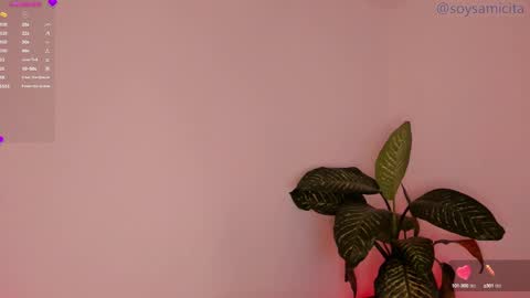 Sami Diaz   online show from December 17, 8:34 am