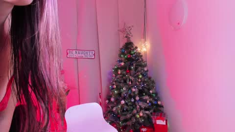 Snapshot of steffy_dan chatting on December 25, 4:01 am Steffy online show from December 25, 4:01 am