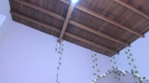 stefie online show from February 16, 7:48 am