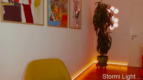 Stormi online show from February 4, 8:56 pm