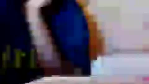 Ss online show from August 4, 9:37 am