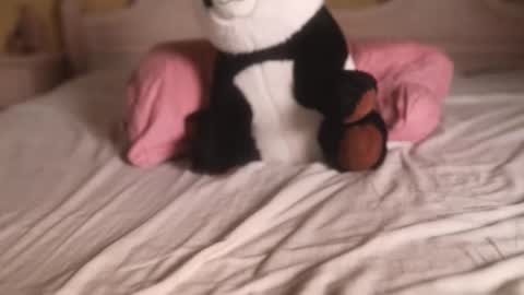 suzysuza online show from November 29, 12:09 pm