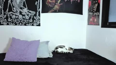 Natasha  independent modelo online show from April 6, 9:49 pm