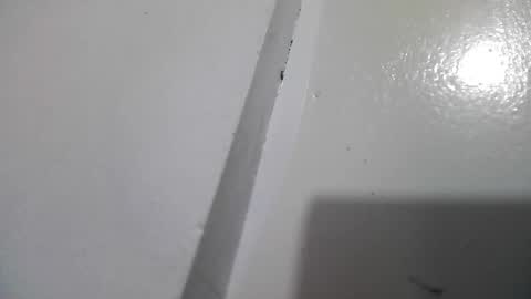 Stacy online show from April 13, 3:02 pm