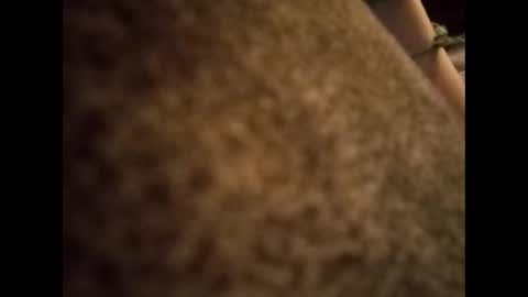 Snapshot of swollenclitneedsdad chatting on October 26, 6:31 am swollenclitneedsdad online show from October 26, 6:31 am