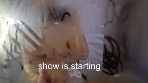 Anna online show from November 23, 8:21 pm