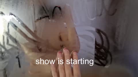 Anna online show from January 7, 1:20 am