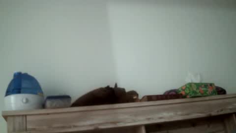 the_sam_ online show from November 27, 4:37 am