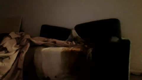 Little Bambii online show from March 19, 4:17 am