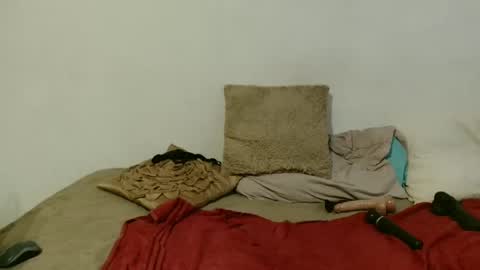 Pat online show from November 16, 11:21 am