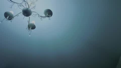 Elly online show from January 19, 3:35 am