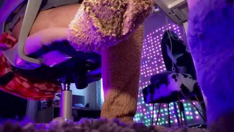 MOCHI NEXT DOOR online show from October 14, 4:42 pm