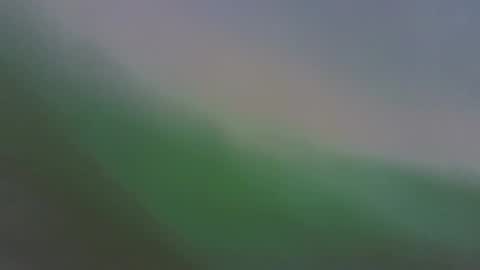 Ariana online show from November 23, 9:16 pm