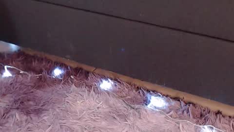 valery carter01 online show from December 19, 12:59 am