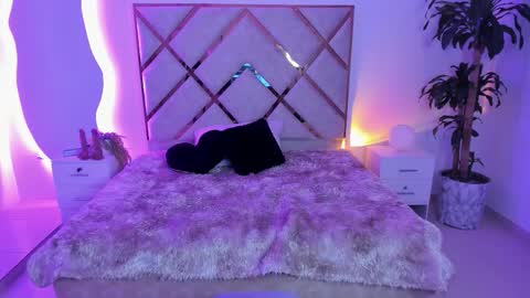 Veronica online show from February 5, 4:37 am