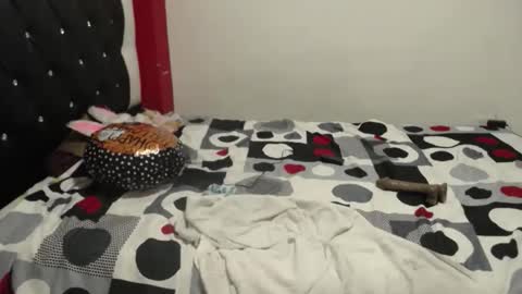 melissa online show from November 24, 3:41 am