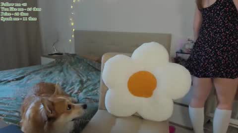Snapshot of watermelon_sugar_ chatting on February 11, 9:53 am Tess  Pls support me with  Can we reach 155 my favorite number online show from February 11, 9:53 am