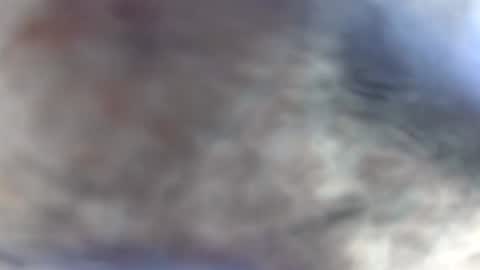 white_sexy_ online show from January 10, 9:41 pm