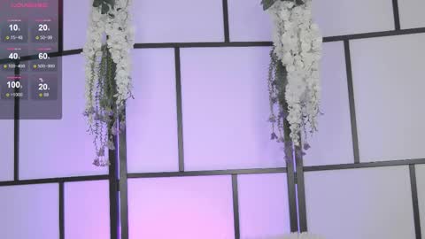 Xenomy online show from February 20, 5:55 am